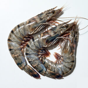 Black Tiger Garnelen, Shrimp