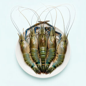 Süßwasser-Riesengarnele, Giant Freshwater Prawn, Giant River Prawn (engl.)