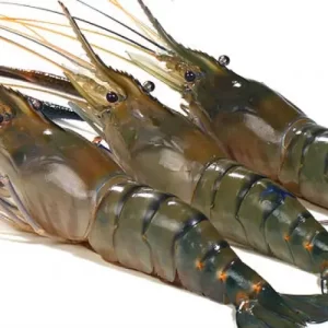 Soft Shell Crab - 1kg